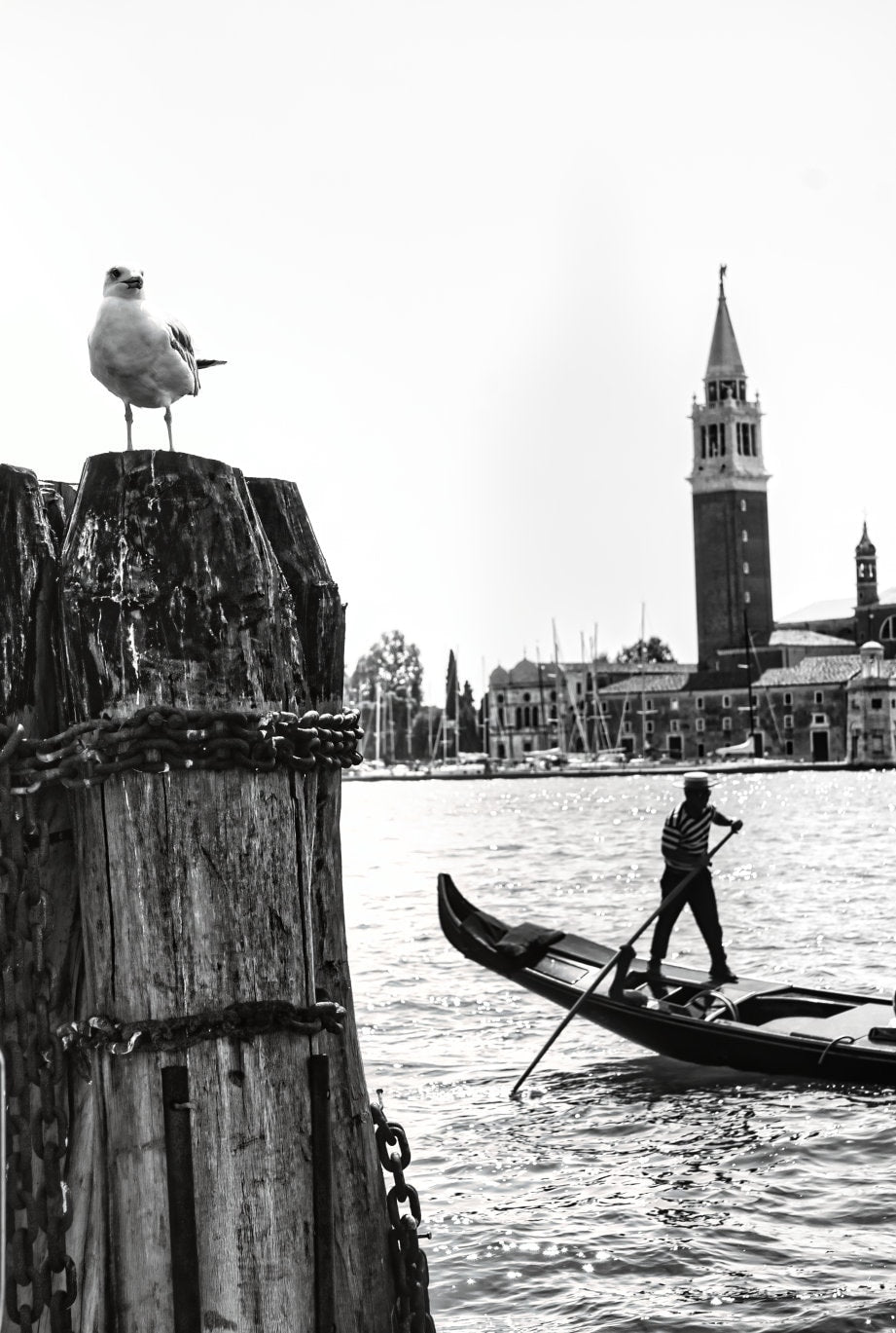 Venice Print Italy Travel Photography Venezia Italia Veneto region - Black and White - office home decor - A4 A3 A2 - Festival Merch