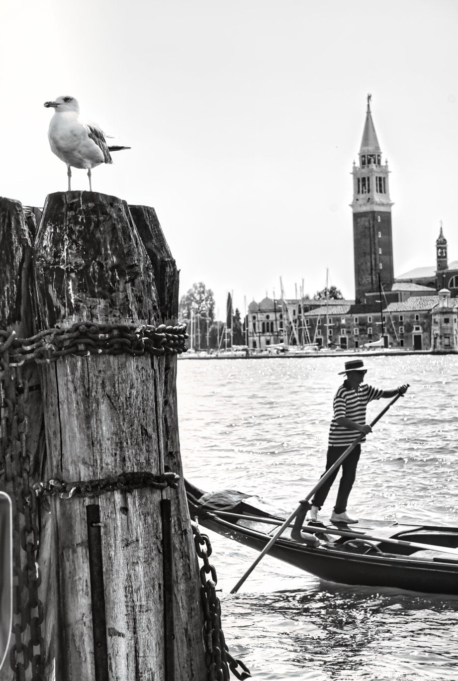 Venice Print Italy Travel Photography Venezia Italia Veneto region - Black and White - office home decor - A4 A3 A2 - Festival Merch