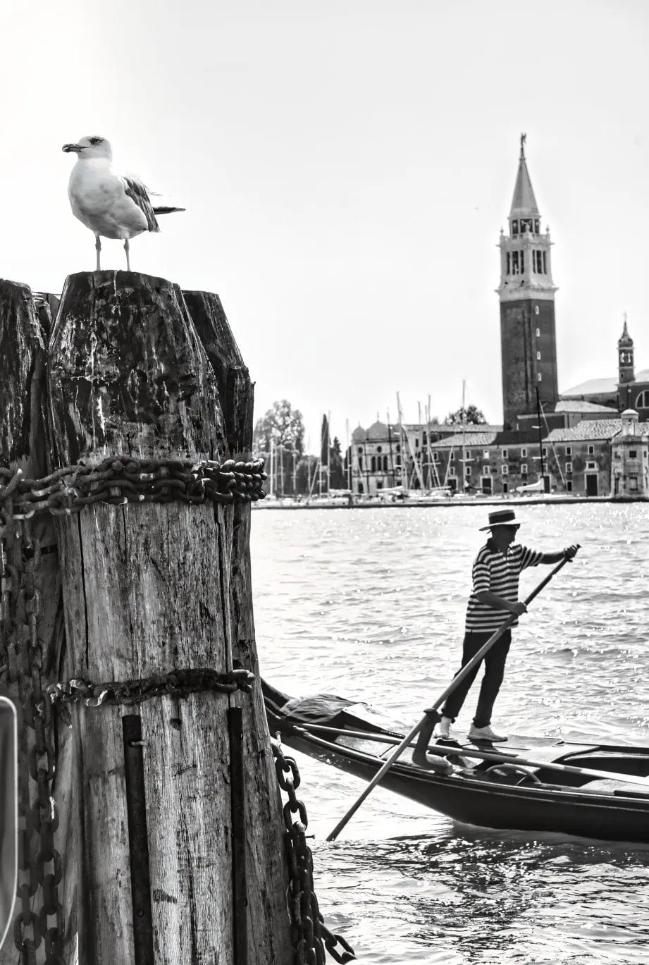 Venice Print Italy Travel Photography Venezia Italia Veneto region - Black and White - office home decor - A4 A3 A2 - Festival Merch