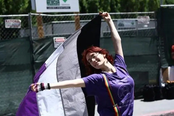 Asexual Flag Large LGBT - 5ft by 3FT Pride Ace Asexuality Gay Lesbian Bi Trans Rainbow parade music festival party - Festival Merch