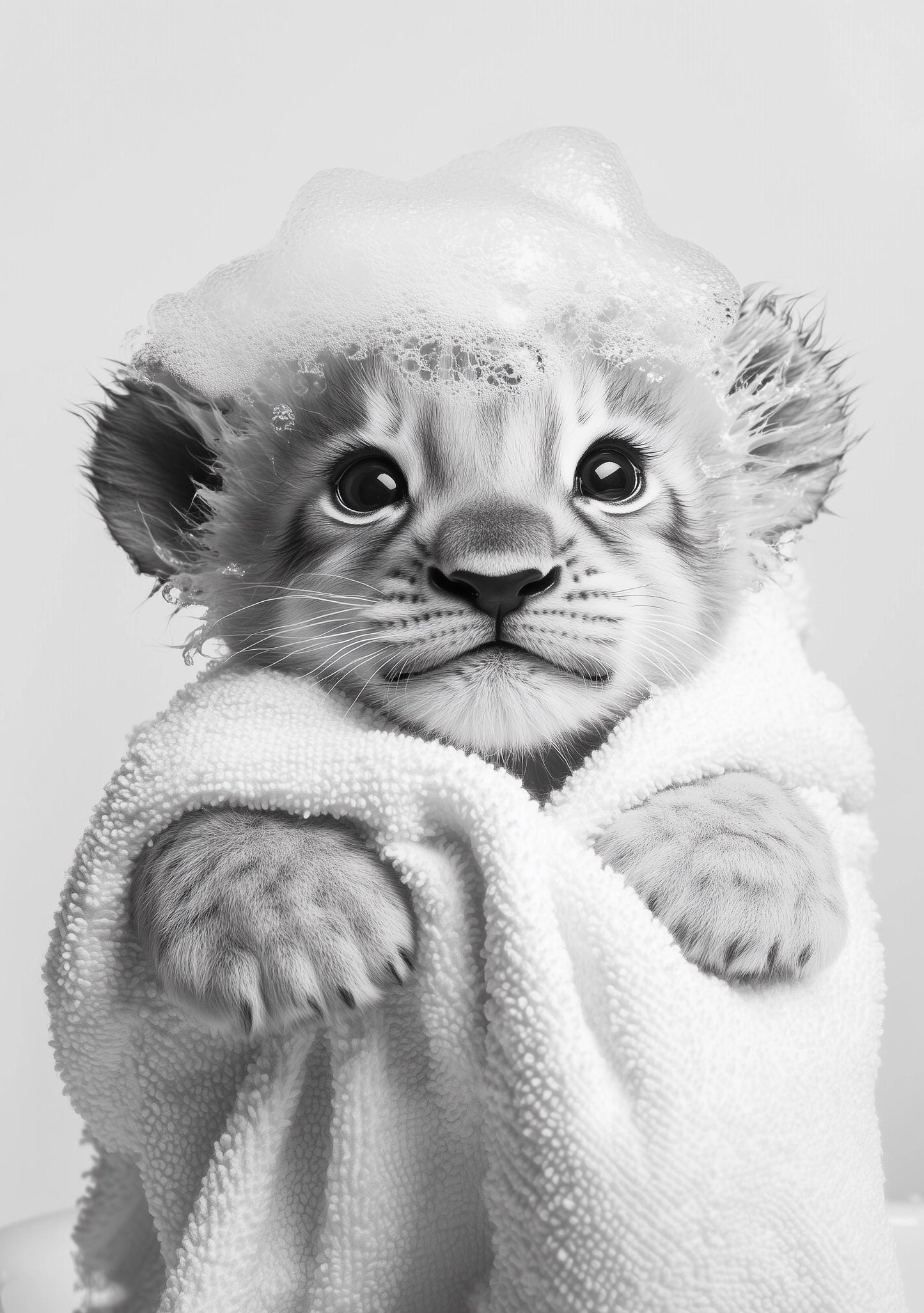Funny bathroom Animal Lion Cub Print | Premium Quality UK British Printers | - Bathroom art toilet restroom Print rest room