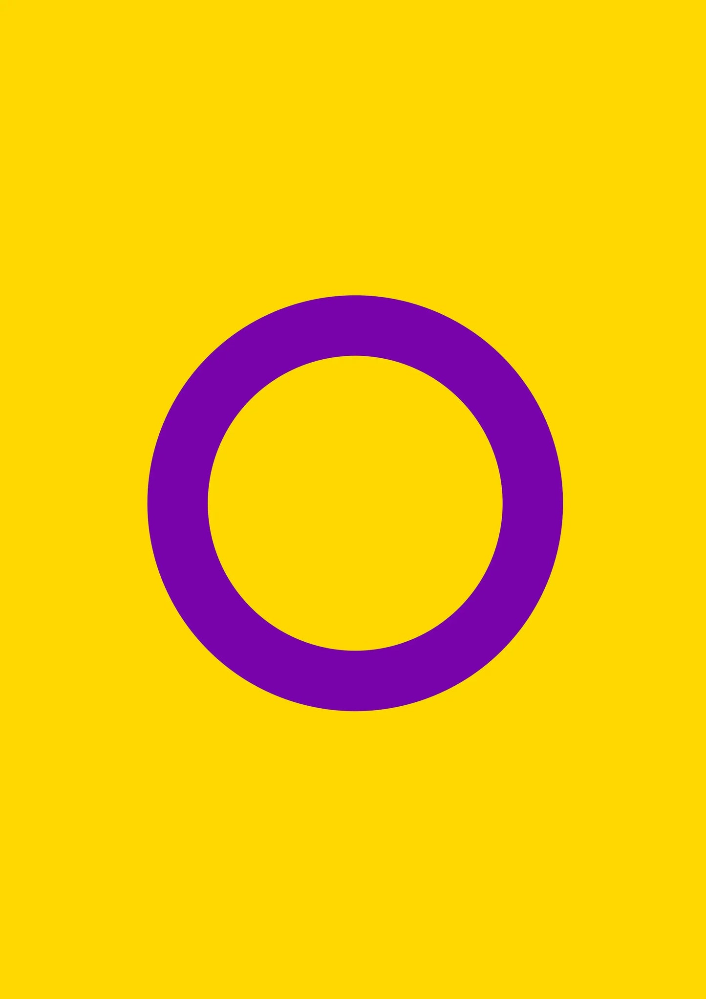 Intersex Flag Print - Rainbow Pride Flag - home decor - A4 A3 A2 - Festival Merch