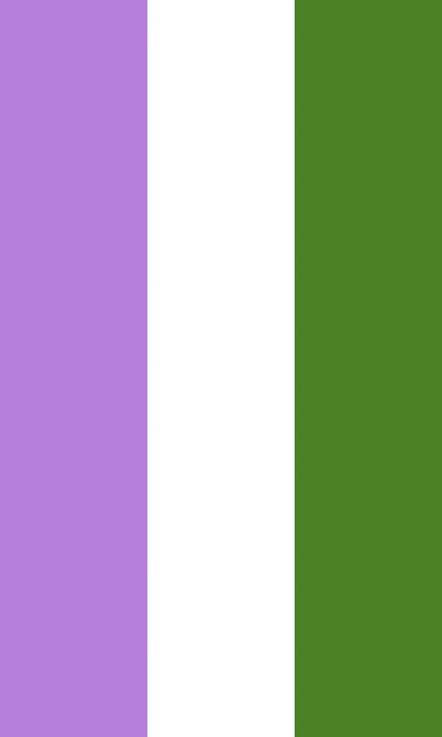 Genderqueer Flag Print - Rainbow Pride Flag - home decor - A4 A3 A2 - Festival Merch