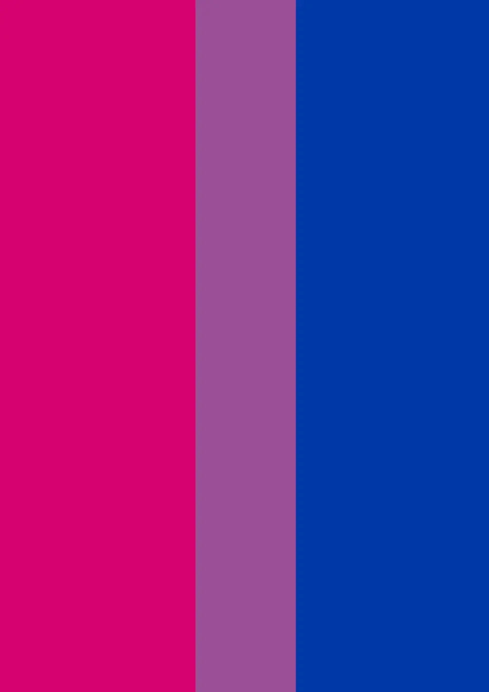Bi Flag Print - Rainbow Pride Flag - home decor - A4 A3 A2 - Festival Merch