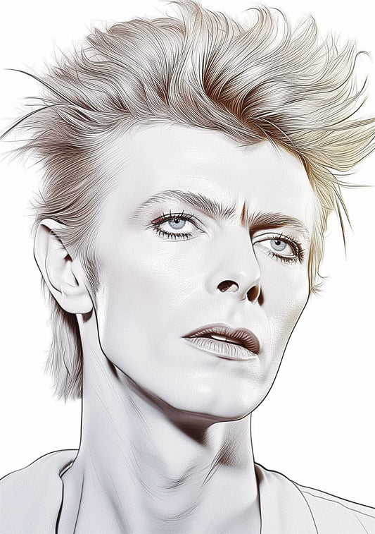David Bowie Art Famous Faces Music Musician Celebrity Wall Art Print - A4 A3 A2 - Festival Merch