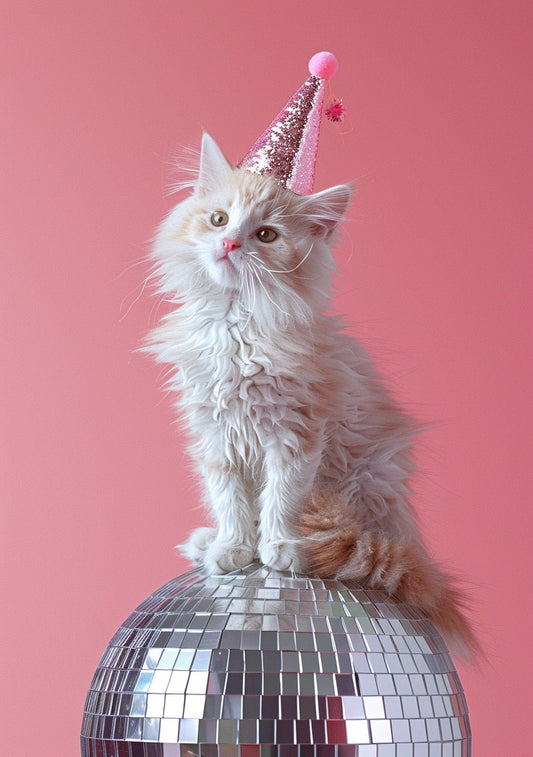 Funny Animal Wall Art Pink Cute Kitten Party disco ball  - A4 A3 A2 - Festival Merch