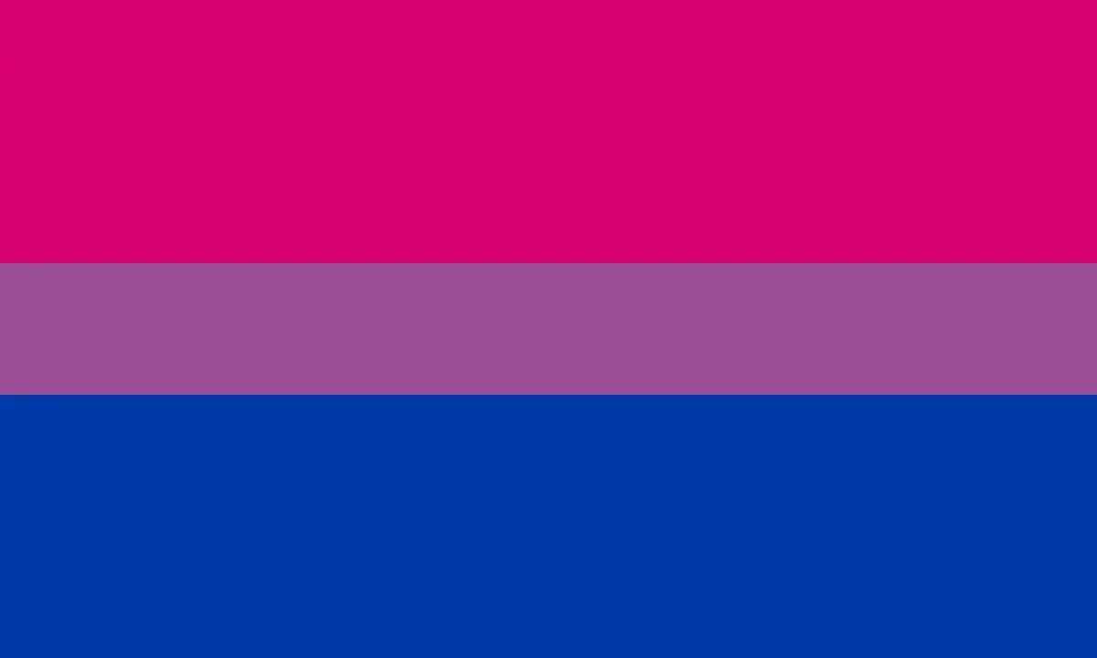 Bisexual Flag Large LGBT - 5ft by 3FT Pride Bisexuality Gay Lesbian Bi Trans Rainbow parade music festival party - Festival Merch