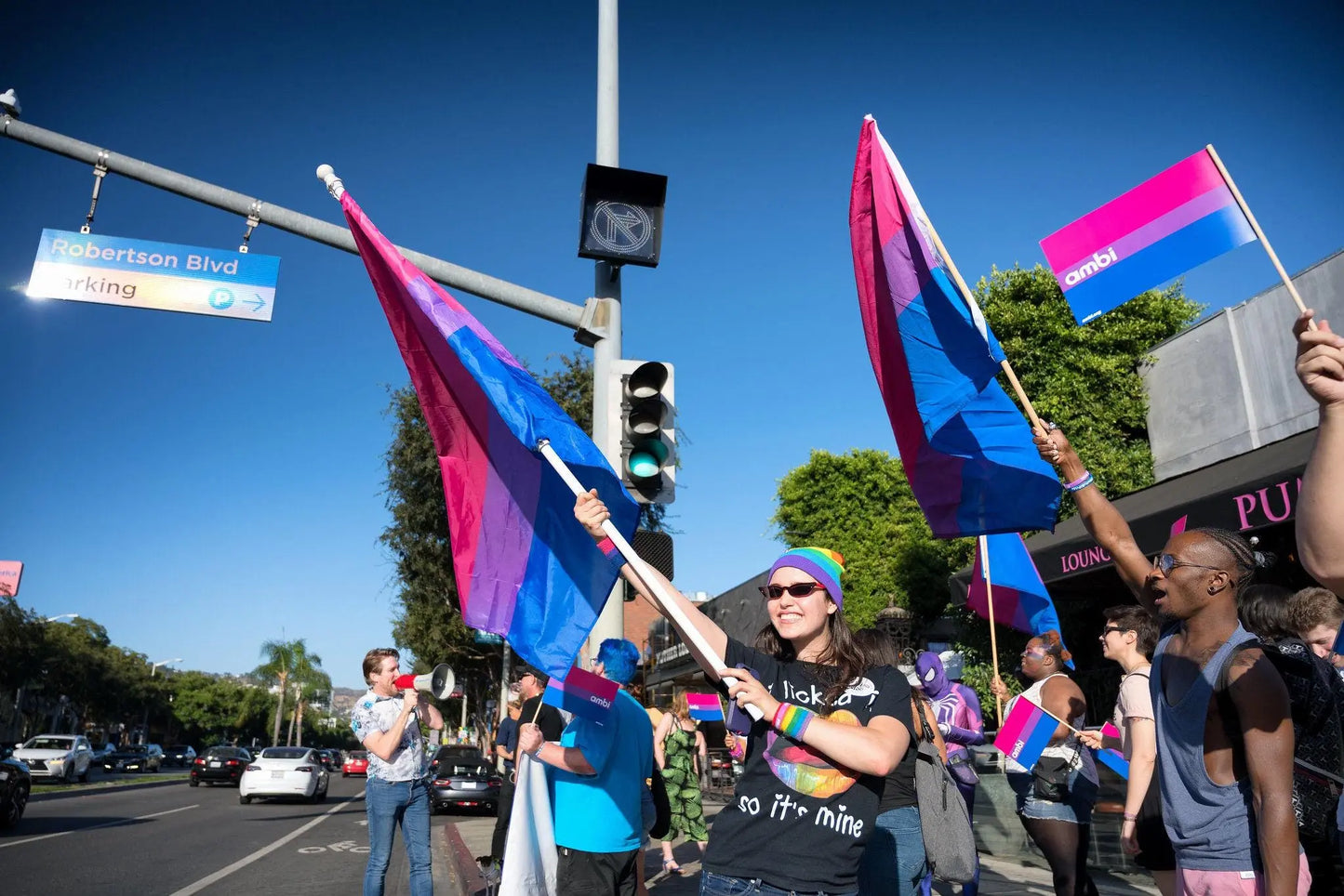 Bisexual Flag Large LGBT - 5ft by 3FT Pride Bisexuality Gay Lesbian Bi Trans Rainbow parade music festival party - Festival Merch