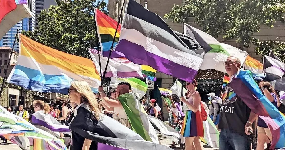 Asexual Flag Large LGBT - 5ft by 3FT Pride Ace Asexuality Gay Lesbian Bi Trans Rainbow parade music festival party - Festival Merch