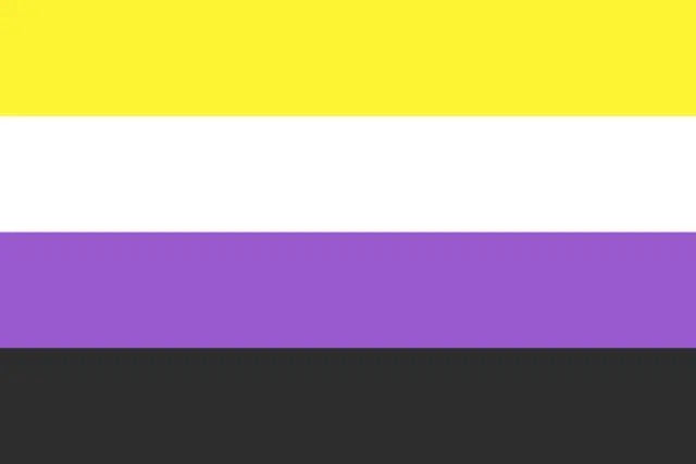 Non Binary Flag Large LGBT - 5ft by 3FT Pride Gay Lesbian Bi Trans Rainbow parade music festival party - Festival Merch