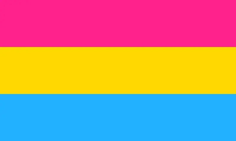 Pansexual Flag Large LGBT - 5ft by 3FT Pride Pan Omnisexual Gay Lesbian Bi Trans Rainbow parade music festival party - Festival Merch