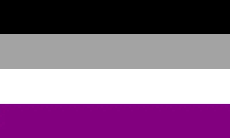 Asexual Flag Large LGBT - 5ft by 3FT Pride Ace Asexuality Gay Lesbian Bi Trans Rainbow parade music festival party - Festival Merch