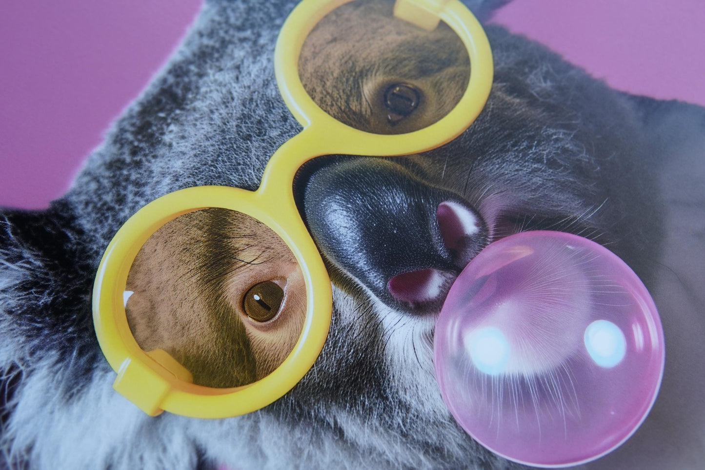 Funny Animal Wall Art Pink Koala bubble gum  - A4 A3 A2 - Festival Merch