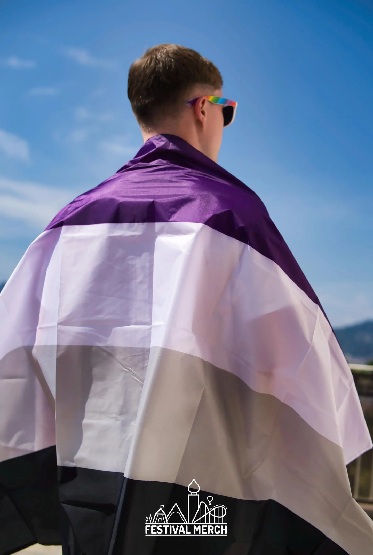 Asexual Flag Large LGBT - 5ft by 3FT Pride Ace Asexuality Gay Lesbian Bi Trans Rainbow parade music festival party - Festival Merch