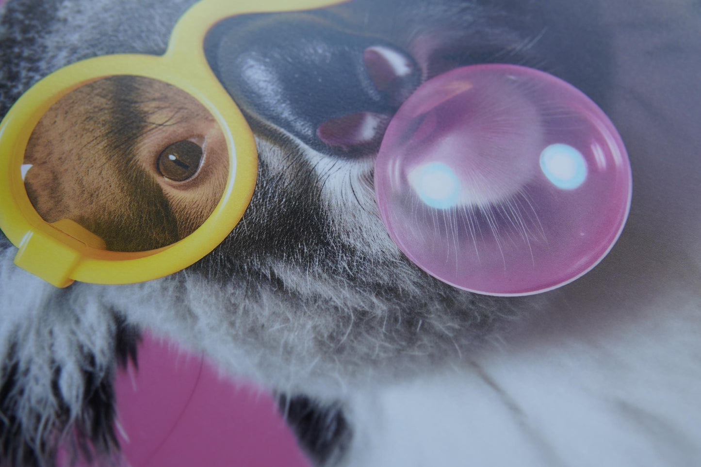 Funny Animal Wall Art Pink Koala bubble gum  - A4 A3 A2 - Festival Merch