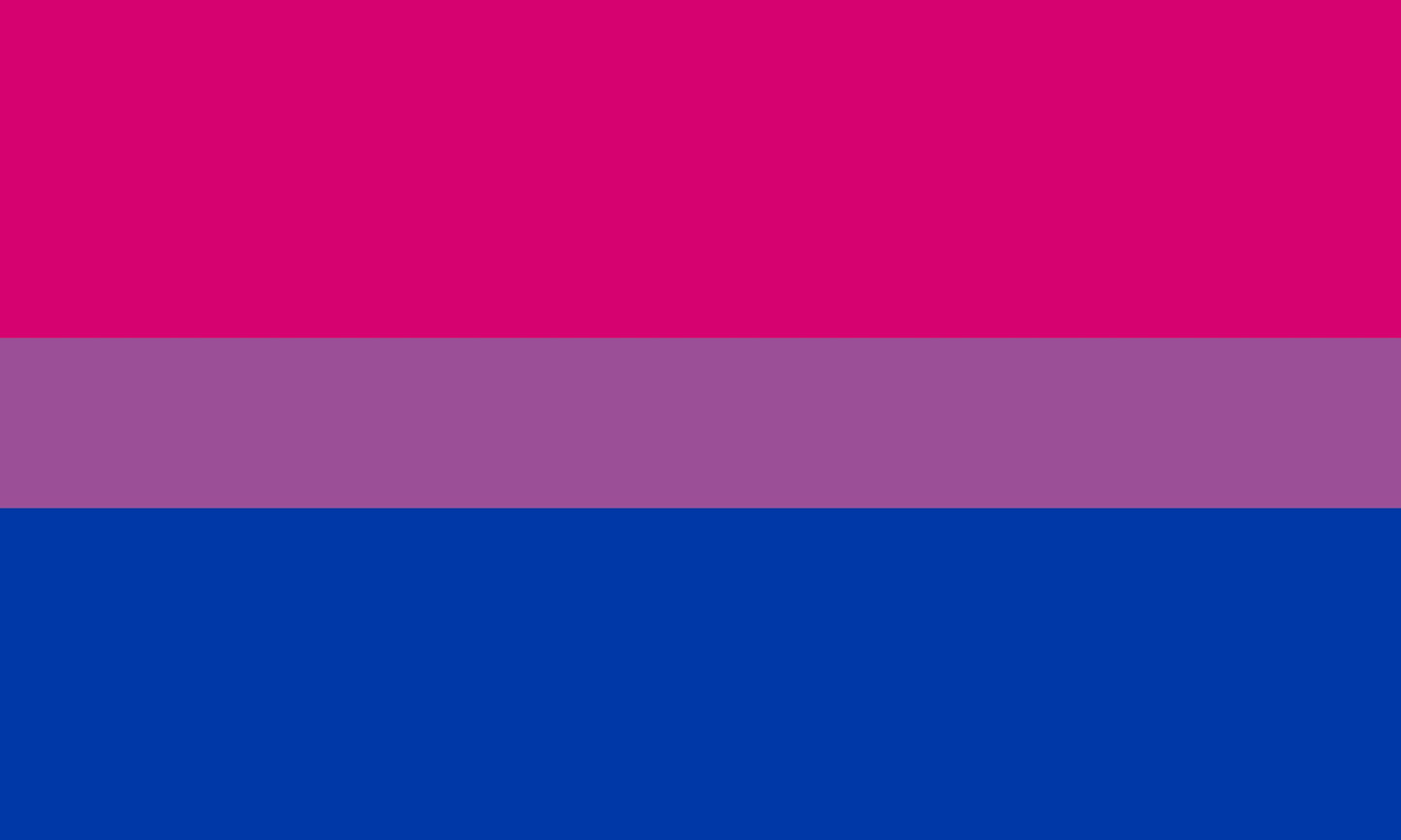 Bisexual Bi Flag Large LGBT -  5ft by 3FT Pride Gay Lesbian Bi Trans Bisexuality Rainbow parade music festival party - Festival Merch