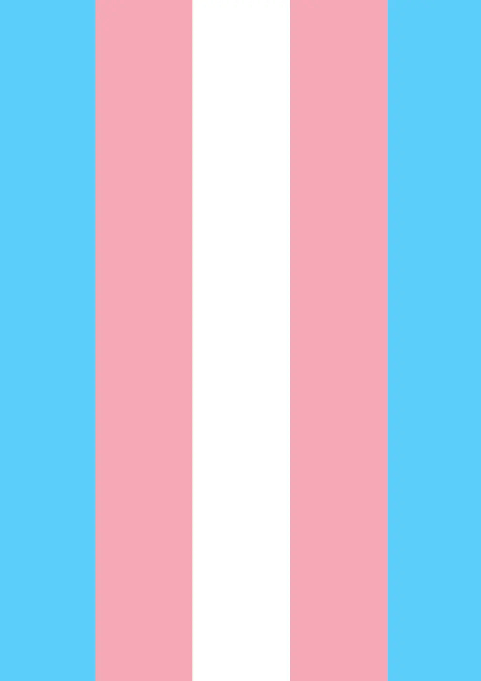 Transgender Flag Print - Rainbow Pride Flag - home decor - A4 A3 A2 - Festival Merch