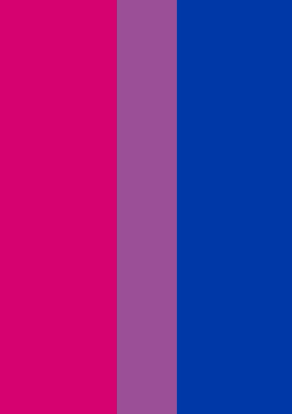 Bi Flag Print - Rainbow Pride Flag - home decor - A4 A3 A2  - Festival Merch